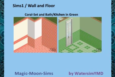 ws Bath- Kitchen Wall-Floor Set (2005) S1