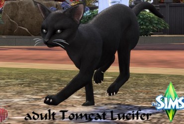 Sims 4 – Kater Lucifer